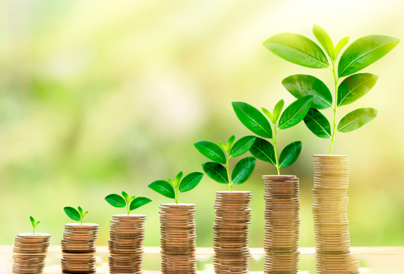 What is a Mutual Fund?